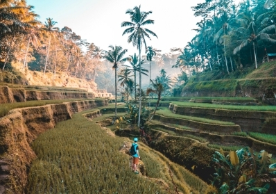 Sustainable Travel 101: How to Explore the World Without Harming It image