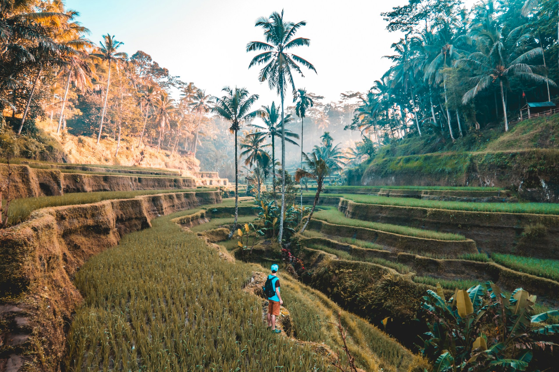 Sustainable Travel 101: How to Explore the World Without Harming It hero image